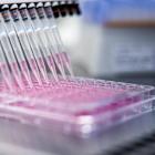 FDA follows EMA in limiting use of Valneva shot