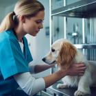 Is Elanco Animal Health (ELAN) The Best Pet Stock To Invest In According To Analysts?