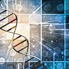 BridgeBio Breaks Out After Pfizer-Rivaling Heart Drug Obliterates Sales Expectations