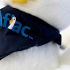 Aflac finds suspicious activity on US network that may impact Social Security numbers, other data