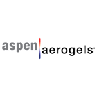 Aspen Aerogels Inc (ASPN) Q1 2025 Earnings Call Highlights: Navigating Challenges with ...