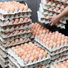 Cal-Maine Foods, Inc. (CALM): A Bull Case Theory