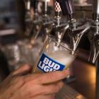 Bud Light gets more bad news as popularity continues to fall