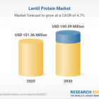 Lentil Protein Market Outlook 2025-2030, with AGT Food and Ingredients, Batory Foods, Milhao Alimentos, Cargill, Parabel USA, Henry Broch Foods, Ingredion, BI Nutraceuticals & Biorefinery Solutions