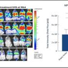 Genprex Collaborators Publish Positive Preclinical Data with NPRL2 Gene Therapy Utilizing Oncoprex® Delivery System