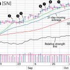 SharkNinja Stock: A Swing Trade Worth Holding