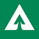 Weyerhaeuser Co (WY) Q1 2025 Earnings Call Highlights: Strong EBITDA Growth and Dividend ...