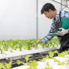 3 Stock Picks to Ride the Vertical Farming Wave