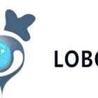 LOBO Announces Strategic Cooperation in Indonesia’s $5 Billion+ EV Market with Green Gold Asia to Accelerate Global Expansion