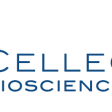 Cellectar Biosciences Announces Positive Topline Data Achieving Primary Endpoint in Pivotal Clinical Study of Iopofosine I 131 in Waldenstrom’s Macroglobulinemia