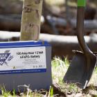 Dragonfly Energy Partners with the National Forest Foundation to Plant Trees in Honor of Earth Day