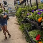 Tractor Supply’s Bet on Garden Centers Is Starting to Blossom