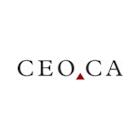 CEO.CA's Inside the Boardroom: Southern Cross Gold Consolidated: Globally Significant and Rare Gold Asset with Top Potential for Western Antimony Source
