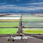 Lithium industry bemoans 'paradox' of low prices, rising demand
