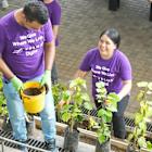 TELUS Digital Teams Across the Globe Unite to Give Where They Live
