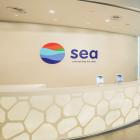 Sea Ltd. Stock Jumps As 31% Revenue Growth Beats Expectations