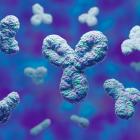 Should ADMA Biologics Stock Be in Your Portfolio Pre-Q1 Earnings?