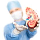 7 Best Dialysis and Kidney Disease Stocks to Buy