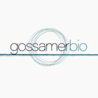 Gossamer Bio Inc (GOSS) Reports Q3 2023 Financial Results and Business Progress