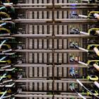 Nvidia Outlook Lowered On Slowing Data Center Builds