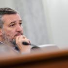 Ted Cruz Urges Trump to Listen to ‘Angel’ Elon Musk on Trade