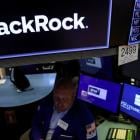 BlackRock resumes stewardship talks after reviewing new ESG guidance