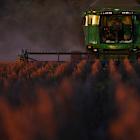 China resumes Brazilian soy imports from 5 suspended firms ahead of Lula visit, source says
