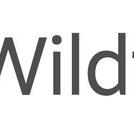 Wildfire Loyalty Platform First to Enable Users to Earn Cashback and Rewards on AI-Assisted Shopping