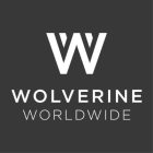 Wolverine World Wide Inc (WWW) Q1 2025 Earnings Report Preview: What to Expect