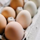 Egg prices rising over bird flu. Could they move higher in 2025?