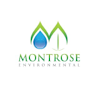 Earnings To Watch: Montrose Environmental Group Inc (MEG) Reports Q1 2025 Result