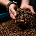 India’s Vintage Coffee and Beverages to raise funds for new plant