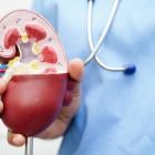 Mayo Clinic joins SeaStar Medical for acute kidney injury trial