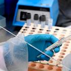 Hologic Stock Is Surging. Why Shares of the MedTech Company Are Up 14%.