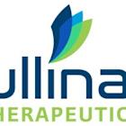 Taiho Oncology and Cullinan Therapeutics Announce Pivotal REZILIENT1 Phase 1/2 Data Published in the Journal of Clinical Oncology