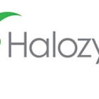 HALOZYME RAISES 2025 FINANCIAL GUIDANCE RANGES AND REPORTS STRONG FIRST QUARTER 2025 RESULTS