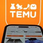 Chinese Retailer Temu Under Fire From European Consumer Groups
