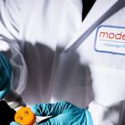 Moderna Is Imperiled by Kennedy’s Health Department. It May Run Out of Cash.