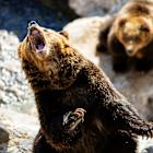 Why Wall Street's biggest bear isn't budging on his calls after Trump tariff pause