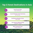 Branching Out: Agoda Unveils Top 5 Forest Escapes in Asia for Nature Lovers