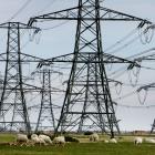 Octopus to build own electricity pylons in challenge to National Grid