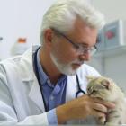 Should You Sell IDEXX Laboratories (IDXX)?