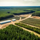 Weyerhaeuser Company (WY): Is This Land and Timber Stock Committed To Long-term Growth?