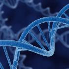 PTC wins US approval of gene therapy for fatal enzyme disorder