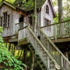 Backyard Treehouse Gets So Much Attention On Airbnb, Owner Doesn't Have To Work Anymore: 'I'm Booked For Months'