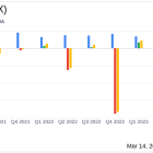 Cardlytics Inc (CDLX) Reports Growth in Revenue and Adjusted EBITDA for Q4 and Full Year 2023