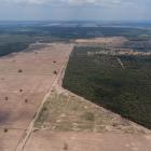 British bank accused of funding destruction of world’s ‘last great wilderness’