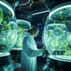 Sana Biotechnology (SANA) Stock Surges on Positive Type 1 Diabetes Treatment Results