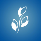 Brookdale Senior Living Inc (BKD) Q1 2025 Earnings Call Highlights: Exceeding Expectations and ...