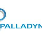 Palladyne AI and Red Cat Announce Successful Completion of Cross-Platform Collaborative Drone Flight